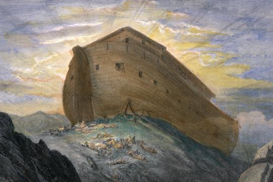 Die Arche Noah die bibel verstehen.de